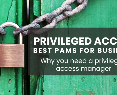 best privileged access managers for small business. Why you need one
